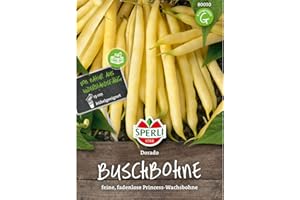 Sperli Buschbohnensamen Dorado 80030 - feine, fadenlose Prinzess-Wachsbohne - Inhalt für 4-5 lfd. Meter - 13cm Fruchtlänge - Samen Gemüse, Gemüsesamen