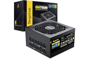 Segotep 750W Power Supply, 80 Plus Gold Full Modular PCIe 5.0 & ATX 3.0 Gaming PSU for NVIDIA RTX 20/30/40 Series & AMD GPU, 120mm Silent FDB Fan