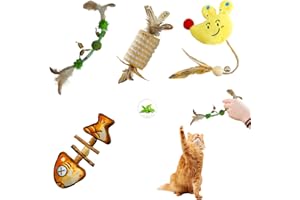 dellyy Gioco Interattivo Gatto, GiocattoloGatti Alla Menta, Accessori per Gatto in Casa, CatnipGatti, GattoGiocattoli, Palla InterattivaGatti, Topini GiocoGatto, Bastoncini Erba GattaGatti