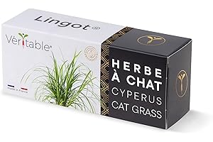 Lingot® Herbe à Chat Cyperus - Compatible Potager d'Intérieur Véritable® et Exky® - Recharge prête à l'emploi - Substrat avec Graines Intégrées…