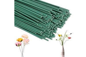 taonganui Blumendraht, 160 Stück 30cm Blumendraht Grün Floristendraht Blumenstamm Draht Grün 2mm Durchmesser Blumenstäle Blumenstängeldraht für Handwerk Kranz, Blumenstrauß
