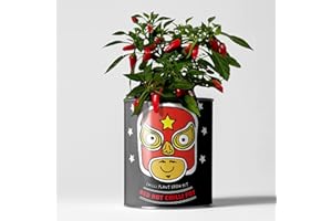 THE PLANT GIFT COMPANY Chilli Plant Luxury Grow Kit, The Plant Gift Co. Red Hot Chilli Pot, Gardening Gift; Habanero, Cayenne and Jalapeno.