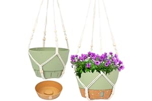 QCQHDU 2 Pack Macrame Plant Hanger Hanging Planters Set,20cm Indoor Outdoor Hanging Plant Pot Basket,Hanging Flower Pot with Drainage Hole for Garden Home(Green)