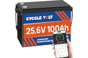 CYCCLEVOLT LiFePO4 24V 100Ah Batterie mit 100A Bluetooth BMS, APP Steuerung, MAX. 2560W, 8000+ Zyklen und 10 Jahre Batterielebensdauer, Perfekter Ersatz für Wohnmobil, Solarsystem, Trolling-Motoren