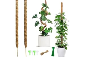 KATLKIU 2 tótem de 120 cm de fibra de coco para plantas trepadoras, soporte extensible con 4 etiquetas, 40 bridas y 2 cuerdas de 10 m para Monstera, Pothos, Philodendron