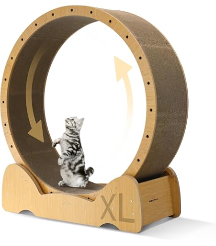 Katzenlaufrad Mit Arretierung – Fitnessrad Für Katzen Bis 10 Kg, 80 Cm Durchmesser, Aus PP-Material