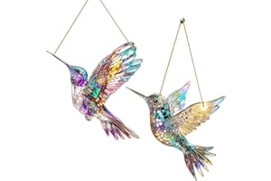 YOUYIKE Lot de 2 décorations de fenêtre de jardin - Couleur suspendue - Acrylique - Colibri - Prisme - Colibri - Décoration de fenêtre - Moderne et créative