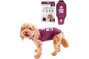 BellyGuard Recovery Suit for Dogs, Comfy Dog Surgery Suit, Female Spay and Male Neuter Onesie for Post-Op Care