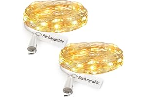 leegoal Guirlande lumineuse LED USB rechargeable, 2 m 20 LED fil cuivre étanche style lucioles à piles, chambre intérieur/extérieur mariage Noël fête déco DIY(Blanc chaud, 2 paquets)