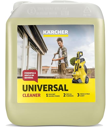 Kärcher Nettoyant Intensif RM 750 - 10 Litres - Élimine Graisses, Huiles, Sanguins - PH 14 - Pour Nettoyage Profond