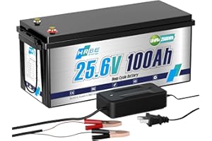HRBEENERGY 24V 100AH LiFePO4 batteria con caricatore 2560Wh batteria al litio, BMS stabile proteggere, 7000 + ricarica a ciclo profondo, soprattutto per RV solare off-grid stoccaggio di energia