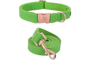 Elegant little tail Obroża dla psa i smycz ze skóry, zielona, wytrzymała obroża dla psa, dla dziewcząt lub chłopców, regulowana obroża dla psów średnich psów, obwód szyi 34-55,88 cm