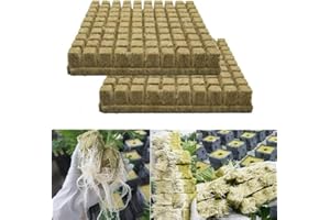 ALMABNER Cubi per Coltivazione idroponica in Lana di Roccia/Pietra per Coltivazione Senza Terra, Supporti per Coltivazione idroponica per Tagliare, tonificare, propagazione delle Piante, Semi
