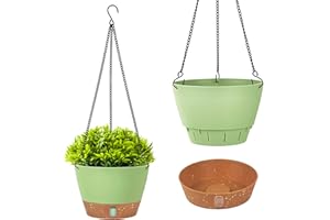 Evoio 2 Pack Hanging Plant Pot, 20CM Self Watering Flower Pots Hanging Plant Basket for Plants Flowers with Visible Water Level Tray Drainage Holes Removable Tray for Indoor Outdoor Plants(Green)