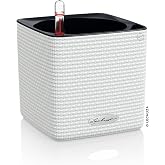 Lechuza 13380 Planting Bucket, 14 x 14 x 14 cm, White
