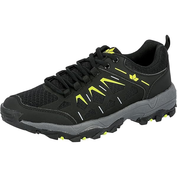 Lowa Renegade Evo LL Lo Heren Wandelschoenen | DE JONG Kampeer & Recreatie Lowa Renegade Evo LL Lo Heren Wandelschoenen | DE JONG Kampeer & Recreatie