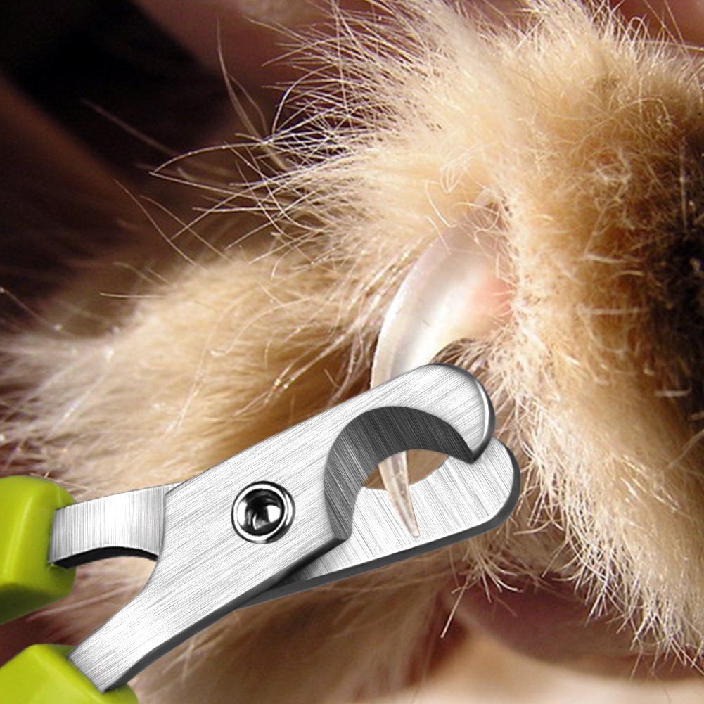 Pecute Cat Nail Clippers Sharp Stainless Steel Professional Pet Nail Trimmers for Cat,Small Breed Dog, Rabbit And Small… - immagine 5