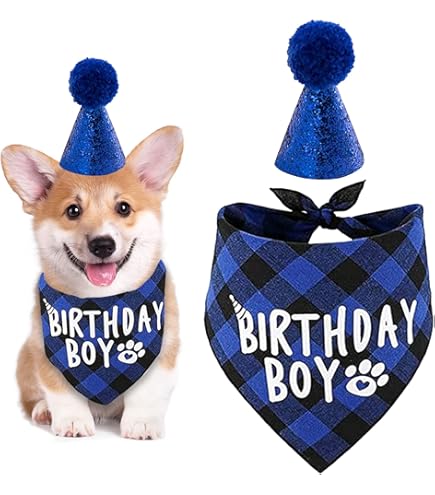 Hunde Geburtstags Bandana Set - Mit Hut & Glitzerzahlen Pink