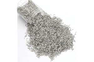 VIGAN Mini épingles de polissage magnétiques en acier inoxydable 1000 g pour fabrication de bijoux, aiguilles de polissage rotatives (1 x 10 mm)