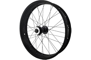 LvTu 20 x 4.0 Inch Fat Bike Front Wheel, Snow Bike Wheels Alloy Disc Brake For 20 x 4.0 Beach Bike Wheel