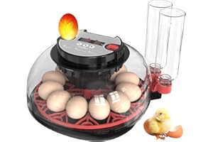 DNOYEVVS Brutautomat Vollautomatisch, Inkubator für 12 Eier mit automatischer Umdrehung von Eiern und automatischer Befeuchtung, 360°-Sicht für Hühner, Inkubator für Hühnereier, Wachtel, Ente mit Eierlampe