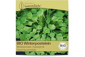 Samenliebe BIO Winterpostelein Samen alte Sorte Winterportulak/Kubaspinat 800 Samen samenfestes Gemüse Saatgut für Gewächshaus Freiland und Balkon BIO Gemüsesamen winterhart