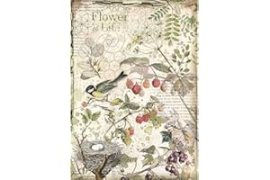 STAMPERIA INTERNATIONAL, KFT Rice Paper Pack A4 FLWR Fruit, Flowers & Fruits, One Size