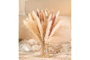 SunAurora 50 Piezas Hierba de Pampas Secas,Naturales Flores Secas,Pampas Grass para Decoración del Hogar, Boda Campestre, Decoración de Estilo Bohemio