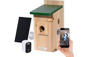 dobar® Nichoir Eazy avec caméra WiFi et Panneau Solaire - Observation des Oiseaux avec Aide au Nidification en Bois et Application - Diamètre du Trou d'entrée : 30 mm - Vert