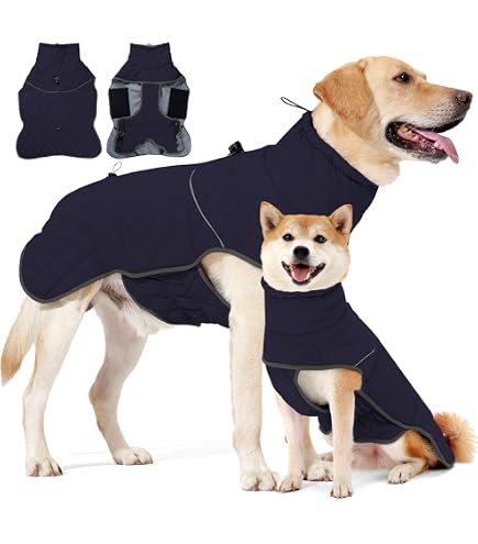 Dog Copenhagen Pomppa Jumppa Hundemantel, Fleece, 80 cm, Sky : Amazon.de:  Haustier