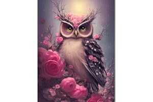 MOGTAA Hibou Peinture Diamant Adulte, 5D Fleurs Diamond Painting Complet Diamant Kit, Peinture Diamant Animaux Artisanat Strass Point de Croix Painting pour Adultes Enfants, Murale Décor 30x40cm