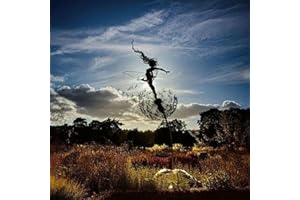 VUKHWX Feen Löwenzahn Kunst Skulptur Dance Together Yard Dekorationen Edelstahl Fee Ornamente Tanzende Feengarten Skulptur mit Pusteblume für Außendekoration Metall (A)