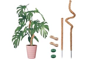 YIZEREL Bendable Moss Pole for Plants Monstera, Bendable Plant Stakes Moss Poles for Potted Indoor Climbing Plants, Handmade Coco Coir Pole Plant Support for Creeper Plants Grow Upwards, 2 Pack, 25 In/48 In