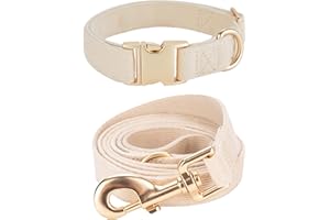 YUDOTE Set di collare e guinzaglio per cani in morbido velluto a coste non irritante, per passeggiate quotidiane, bianco crema