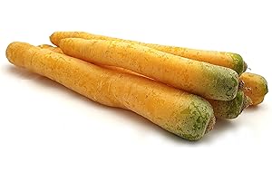 ‎QUAST MEERRETTICH Speisekarotten | Frische farbenfrohe Möhren (Gelb, 2,50 KG)