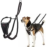 Company of Animals Halti Dog Anti-Tensile Chest Collar, Small Size