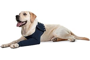 MPS Medical Pet Shirt - TAZ, Single Front Leg Sleeve for Dog, Medium