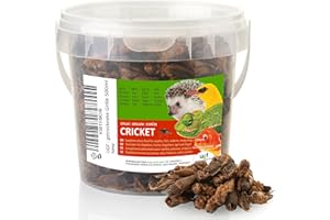 UGF UNDERGROUND FOOD UGF - Grille séchée - Seau de 500 ml (80 g) - Pour griller les insectes - Nourriture pour oiseaux sauvages toute l'année - Nourriture pour tortues - Nourriture pour hérissons, lézards, poissons