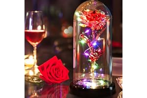 Tonsooze La Bella e La Bestia Rosa Eterna, Rose Incantate, Cupola di Vetro su Base Regali Magici Decorazioni Rose con Luci LED per ragazza, mamma, Fidanzata, Anniversario, Matrimonio