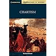 Chartism (Cambridge Perspectives in History)