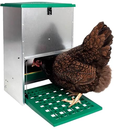 Tolva Comedero Exterior Para Gallinas 17kg - Galvanizada Con Toldo Antilluvia, Incluye Guía Y Conchilla Plus