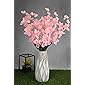 PolliNation Artificial Orchid Flowers for Home Decoration (Light Pink, Pack of 5)