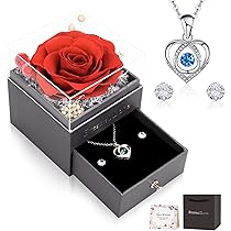 Eternal Blossompreserved Real Long Stem Infinity Rose Eternal Rose That | Desertcart