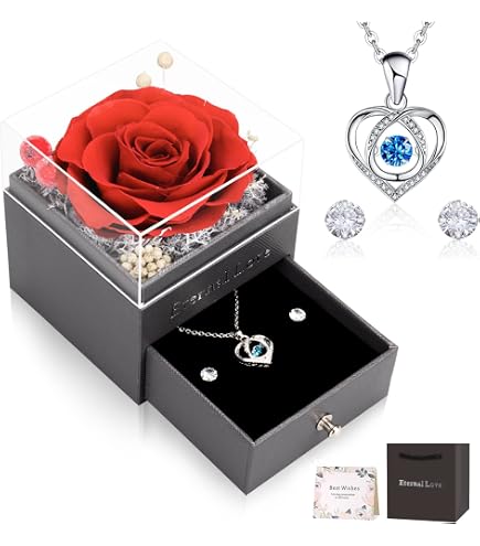 Rose Éternelle Avec Collier Cœur - Boîte Acrylique Cadeau Pour Femme Saint-Valentin Anniversaire