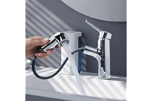 GAOZHI Rubinetto Bagno Lavabo con Doccetta Estraibile Per Lavandino，Miscelatore Monocomando Regolazione a Caldo e Freddo, Aeratore Rimovibile, Cromato