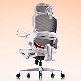 SIHOO B100 Mesh Office Chair, Adjustable Lumbar Support, 136 kg, White | Wide Adjustable Headrest, Flip-up Armrest, Breathabl