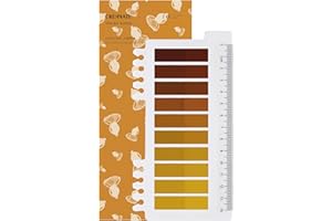 ‎ORDINATE Ordinate 200 Stück Sticky Notes, Transparent Haftnotizen zum Markieren, Haftstreifen, Seitenmarkieren, Ästhetischer Haftnotizzettel, Full Color of Gradient (E-200 Stück Caramel Amber)