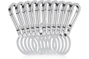 PARASTAR 10 Stück Carabiner Schlüsselanhänger aus Zinklegierung - Robuster Metall Karabiner Mit Schnellverschluss, Feder Clips für Herren und Damen