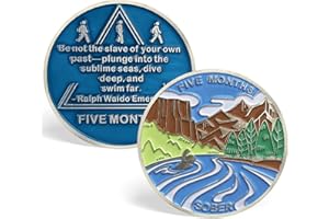 GENERIC 5 Month Sobriety Coin AA Chips and Medallions Five Month Sobriety Chip Sobriety Gifts for Men Women Alcoholics Anonymous Gifts Addiction Recovery Gift