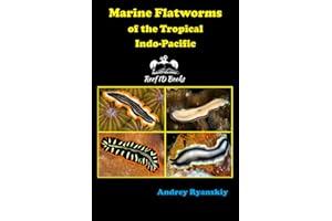 Marine Flatworms of the Tropical Indo-Pacific: 6 (Coral Reef Academy: Indo-Pacific Photo Guides)